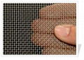 Square Wire Mesh 1