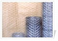 Hexagonal wire mesh