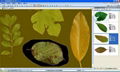 LA-S型全能型植物图像分析仪 3