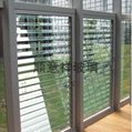 Clear Louver Glass