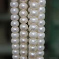 Four Side Flat  Pearl Necklace 2