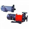 Magnetic Drive Pump 1