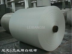 Nylon 6