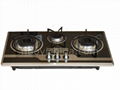 Built-in Gas stove