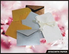 gift envelope