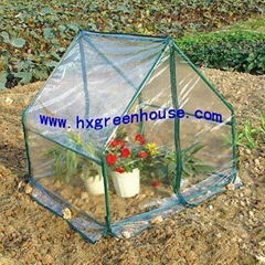 Steel tube greenhouse 