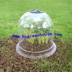 Bell cloche greenhouse