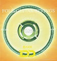 Folk guitar strings 1