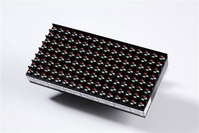 Outdoor LED Module P10mm