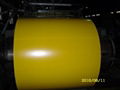 ppgi prepainted steel coil 4