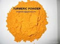 Fresh/frozen/dried/powder Turmeric,