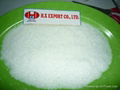 Desiccated coconut/ coconut milk powder