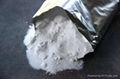 Desiccated coconut/ coconut milk powder 2