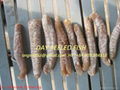 sea cucumber: white teat, sand fish, fish maw, day, Black skin, tala, curry 