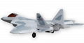 F-22 Raptor fighter with Twin 55mm Jet ( rc aircraft ) 4