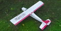 Capture Sky rc aircraft