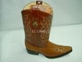 Exotic Cowboy Boots 1