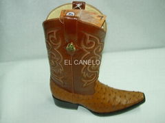 Exotic Cowboy Boots