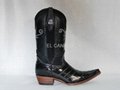 Exotic Cowboy Boots 3