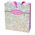 New! fashion paper bag Garanteed 100%