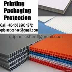 Corrugated Plastic Sheets