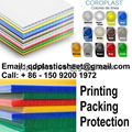 PP Hollow Plastic Sheet