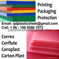 PP Corrugated Sheet 5