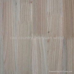 paulownia  finger jointed board