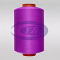 DTY Polyester Yarn 3