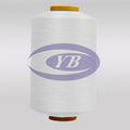 DTY Polyester Yarn 5