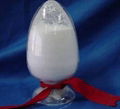 sodium formate  2