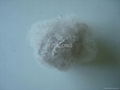 Polyester staple fiber 1