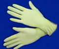 Nitrile Gloves-powder free