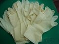 Nitrile Gloves-powder free