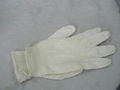 premium disposable gloves powder free  1