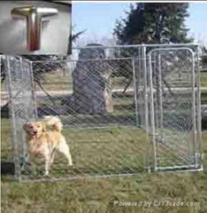 DOG KENNEL 