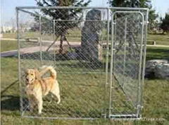 DOG KENNEL 