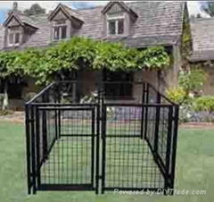 DOG KENNEL 