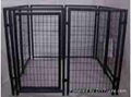 DOG KENNEL