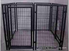 DOG KENNEL 