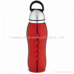 Single-wall Stainless Steel Sports Bottle