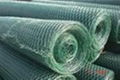 hexagonal wire mesh series