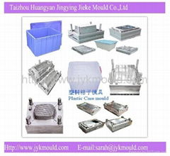 case mould