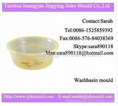 washbasin mould