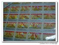 hologram sticker / 3D hologram label 1