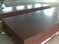 2*6M FILM FACED PLYWOOD