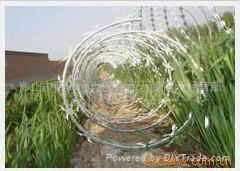 Razor Wire