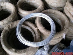 galvanized wire