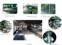 plasterboard production line