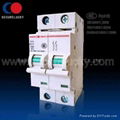 G65H/2P 10kA Industrial Mini Circuit  Breaker 1